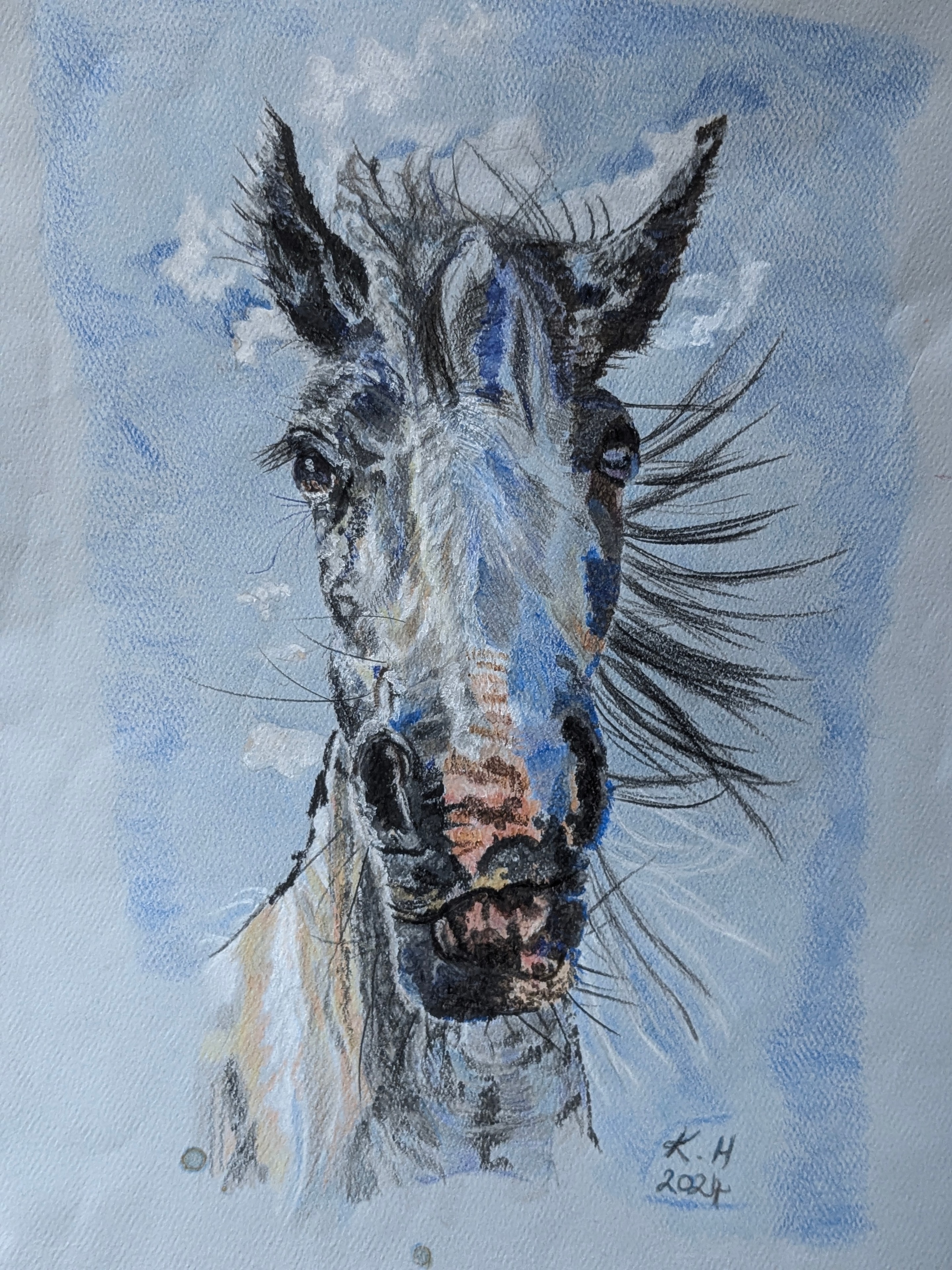 Original Colour Portrait